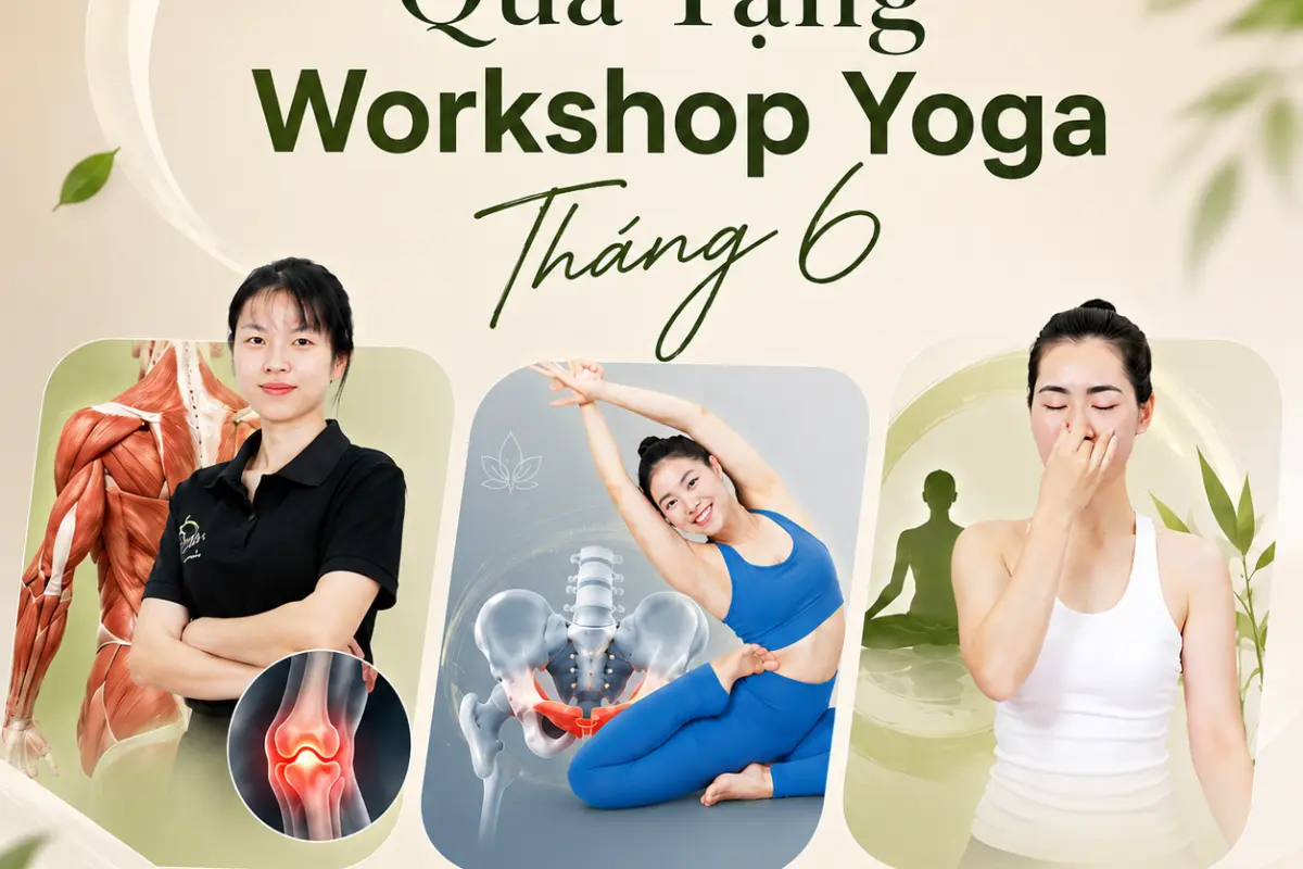 3 Chuyên Đề Yoga Miễn Phí Tháng 6: Mạc Cơ, Cơ Sàn Chậu Và Hơi Thở